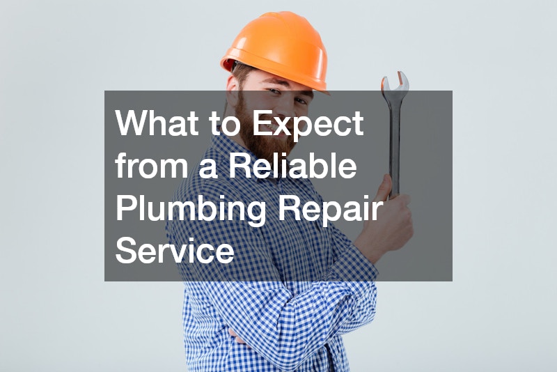 What to Expect from a Reliable Plumbing Repair Service